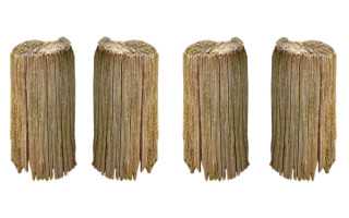 保姆的修养：在“关系”中淬炼职业温度与专业之光