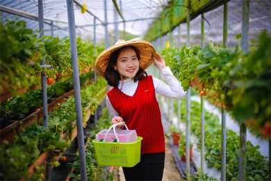研究生毕业转行当月嫂，年入20万，网友却更关心……