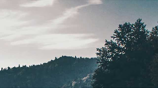 过年雇家政擦玻璃，摔伤摔死谁负责？