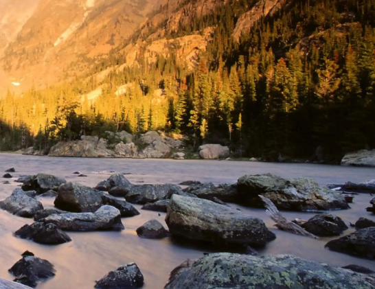 吉林农业大学家政学院荣获“全国巾帼文明岗”荣誉称号